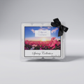 Elligance Spring Collection Wax Set studio packshot